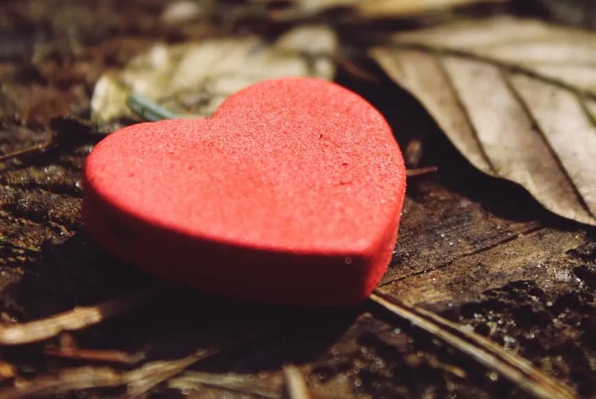 Reset your dating habits this autumn